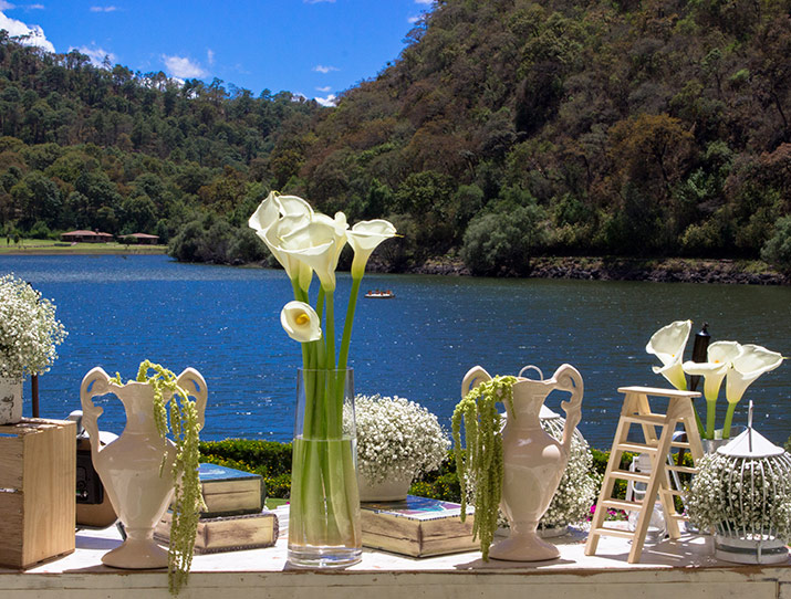 Love on the lake
