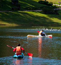 Actividades en Sierra Lago Resort & Spa, Mascota
