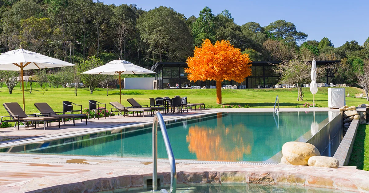 Sierra Lago el arbol naranja