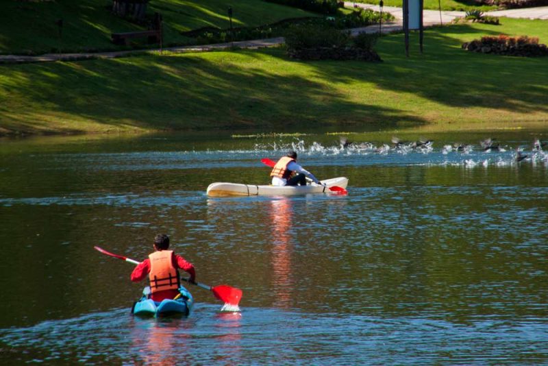 Actividades que puedes realizar en un lago