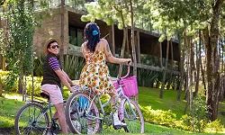 Bike Ride