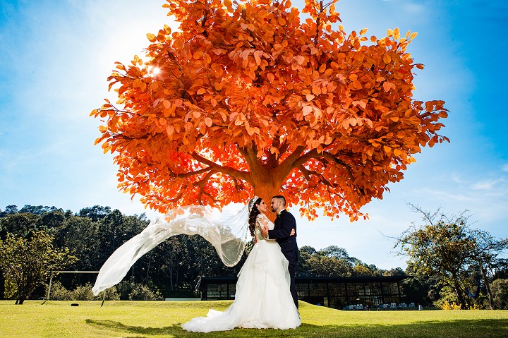Novios en orange tree