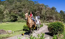 Horseback Riding