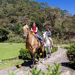 Horseback Riding