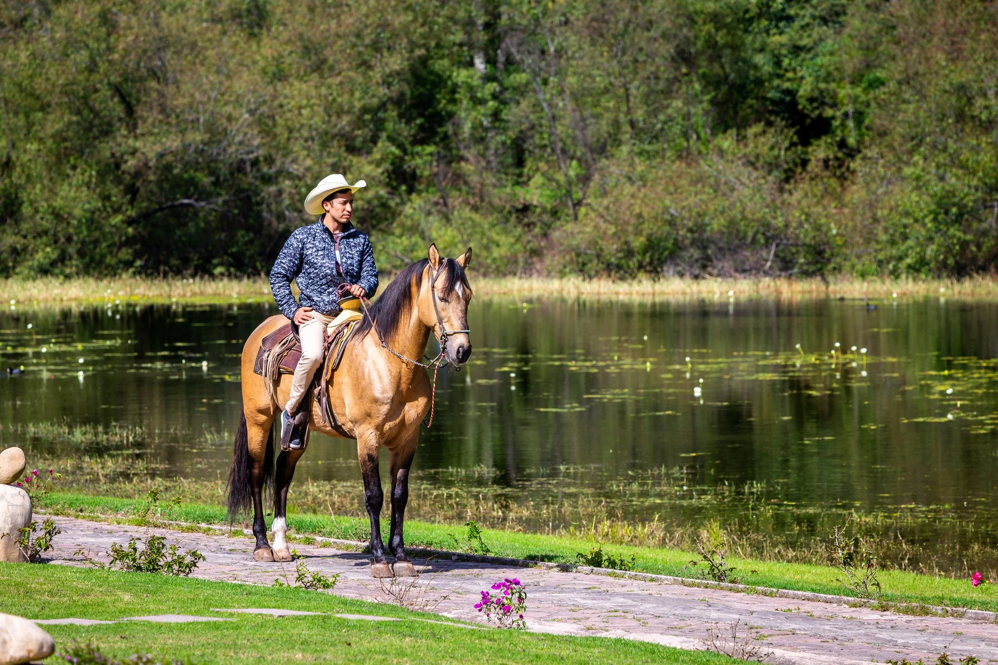 Hors Xvideo - Horseback Riding | Sierra Lago Resort & Spa